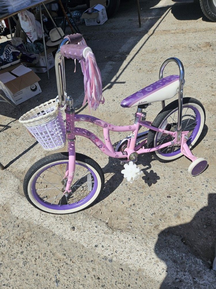 Scwinn's Girl Bike