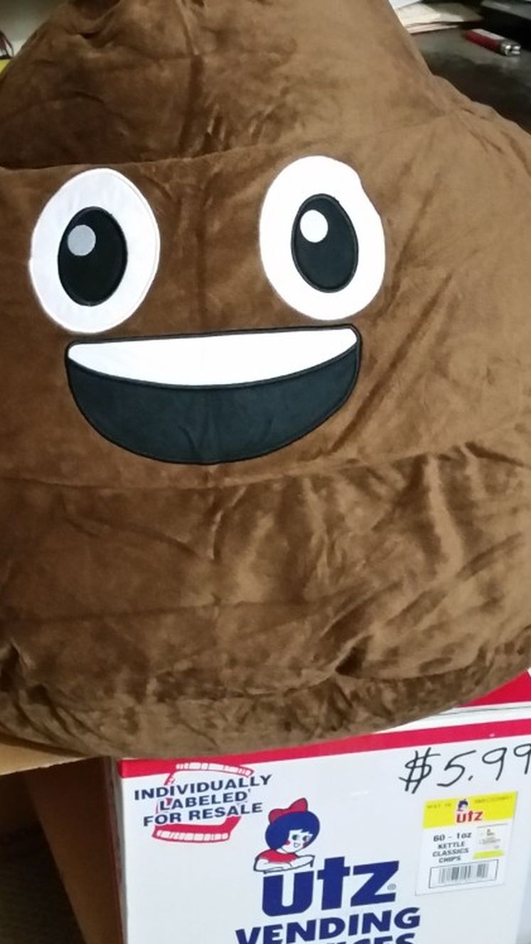 Bean Bags Chair
