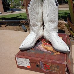 Western Wear Boots🤍