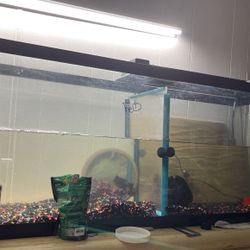 Fish Tank Throw Me An Offer !!!