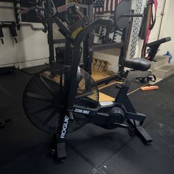 Rogue Echo Bike