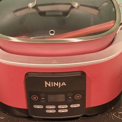 Ninja foodie cooker pro