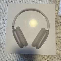 Apple Headphones 