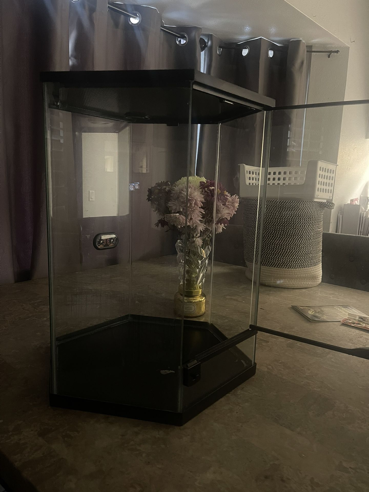 Reptile Tank And Accessories