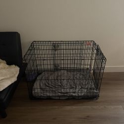 Dog Crate
