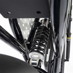 Ebike Ridstar