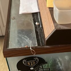 Small Fish Tank 