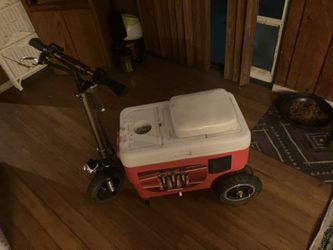 Cruisin Cooler Scooter 48 Volt