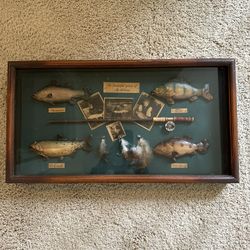 Fishing shadow box