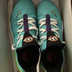 Lebron Air Max