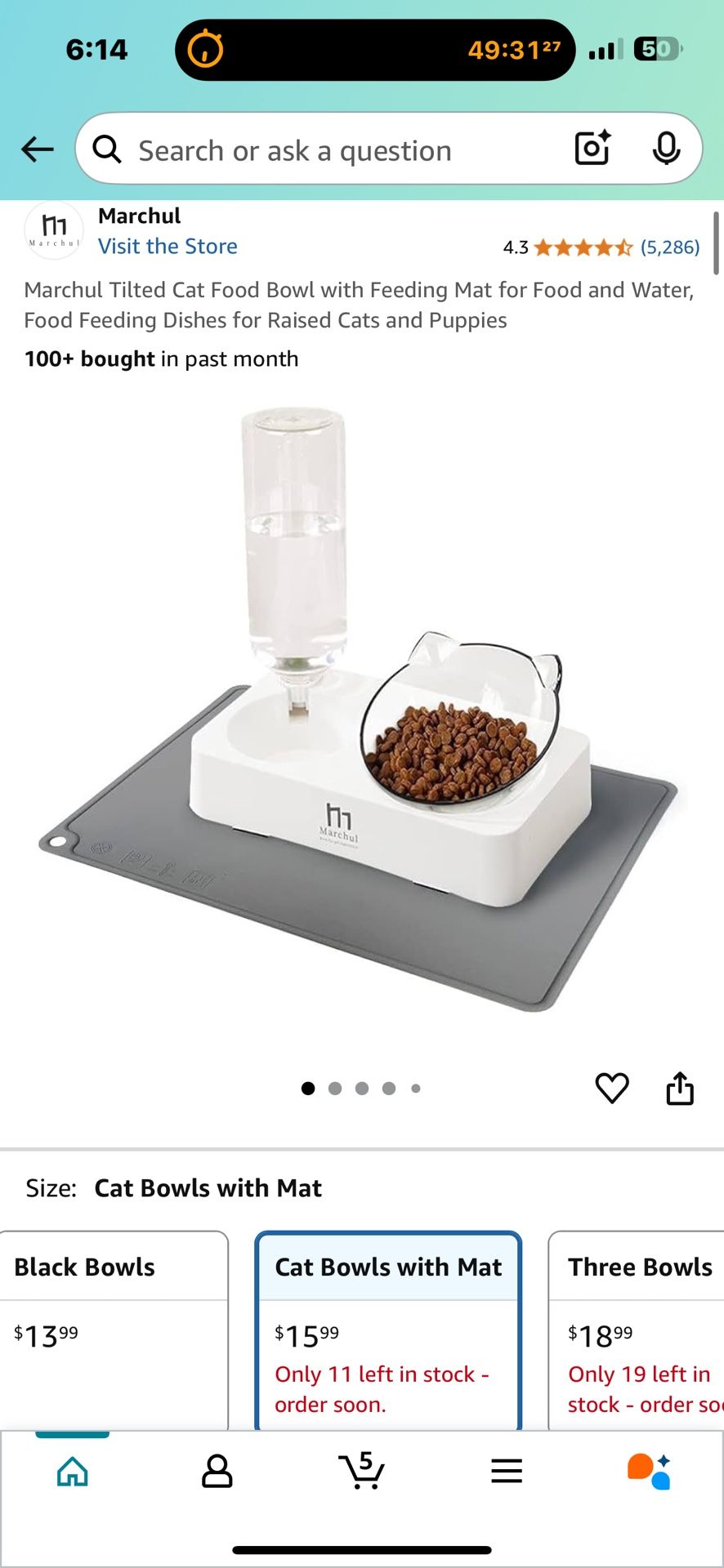 Cat Feeders