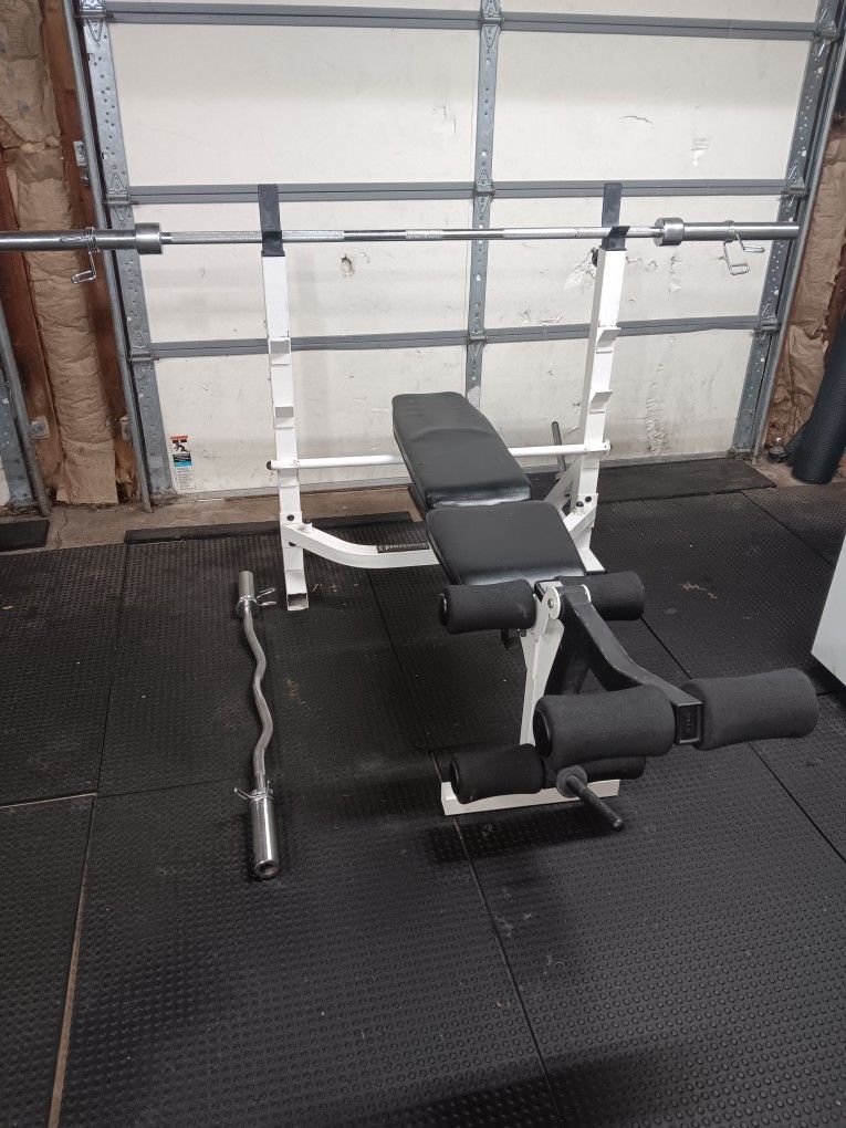 Weight Bench, Bar, Curl Bar