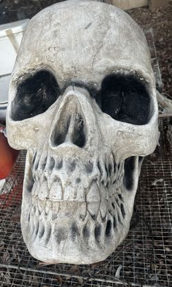 Head skull for decoration