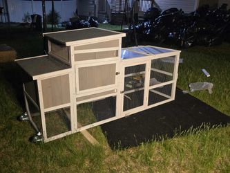 New chicken coop