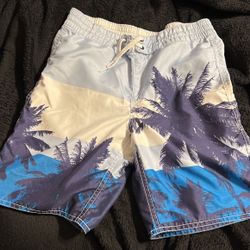 Boardshorts