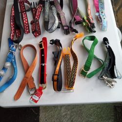 DOG COLLARS LEASHES FOOD CONTAINER 