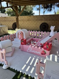 Berry first Birthday Soft Play