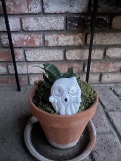 Snake Plant With Ceramic Solar Light Ghost 