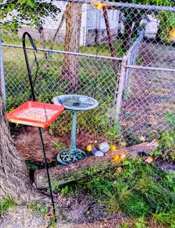 🌿 Beautiful Patio Garden Setup – $250 OBO
Moving to Florida — garden needs a new home!