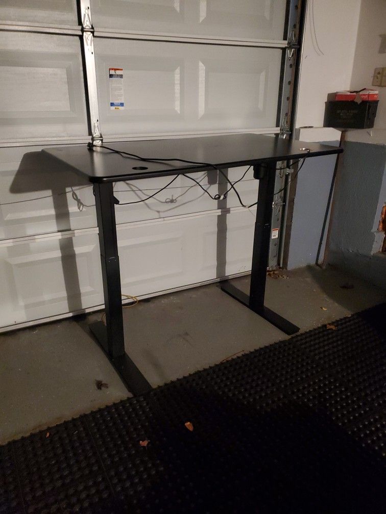 Electrick Sit /stand Desk $100