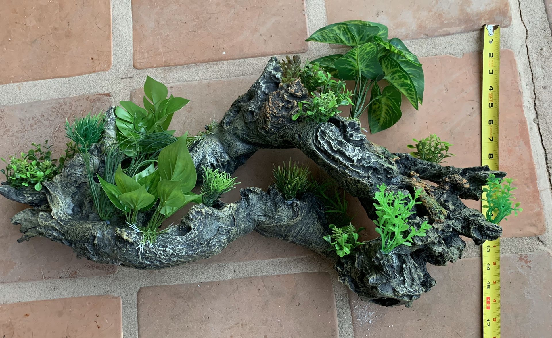 Large aquarium log with attached plants