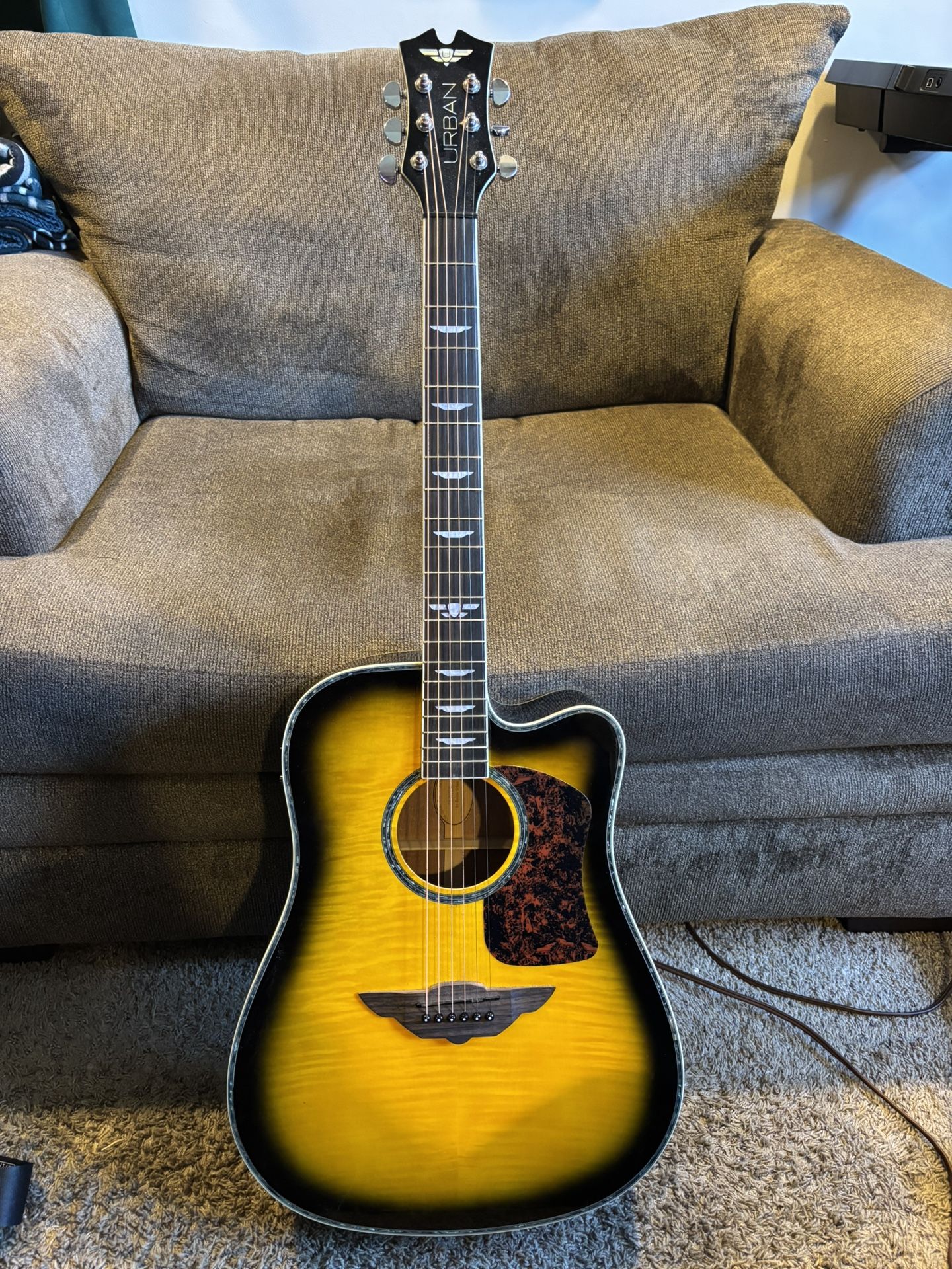 Electric Acoustic Guitar