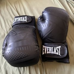 Everlast Boxing Gloves 