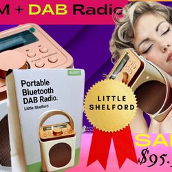 Portable DAB +FM + Bluetooth Battery And AC Power* UK.