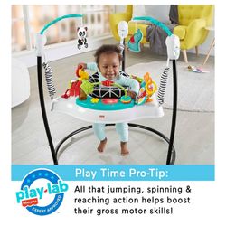 Fisher-Price Baby Bouncer 