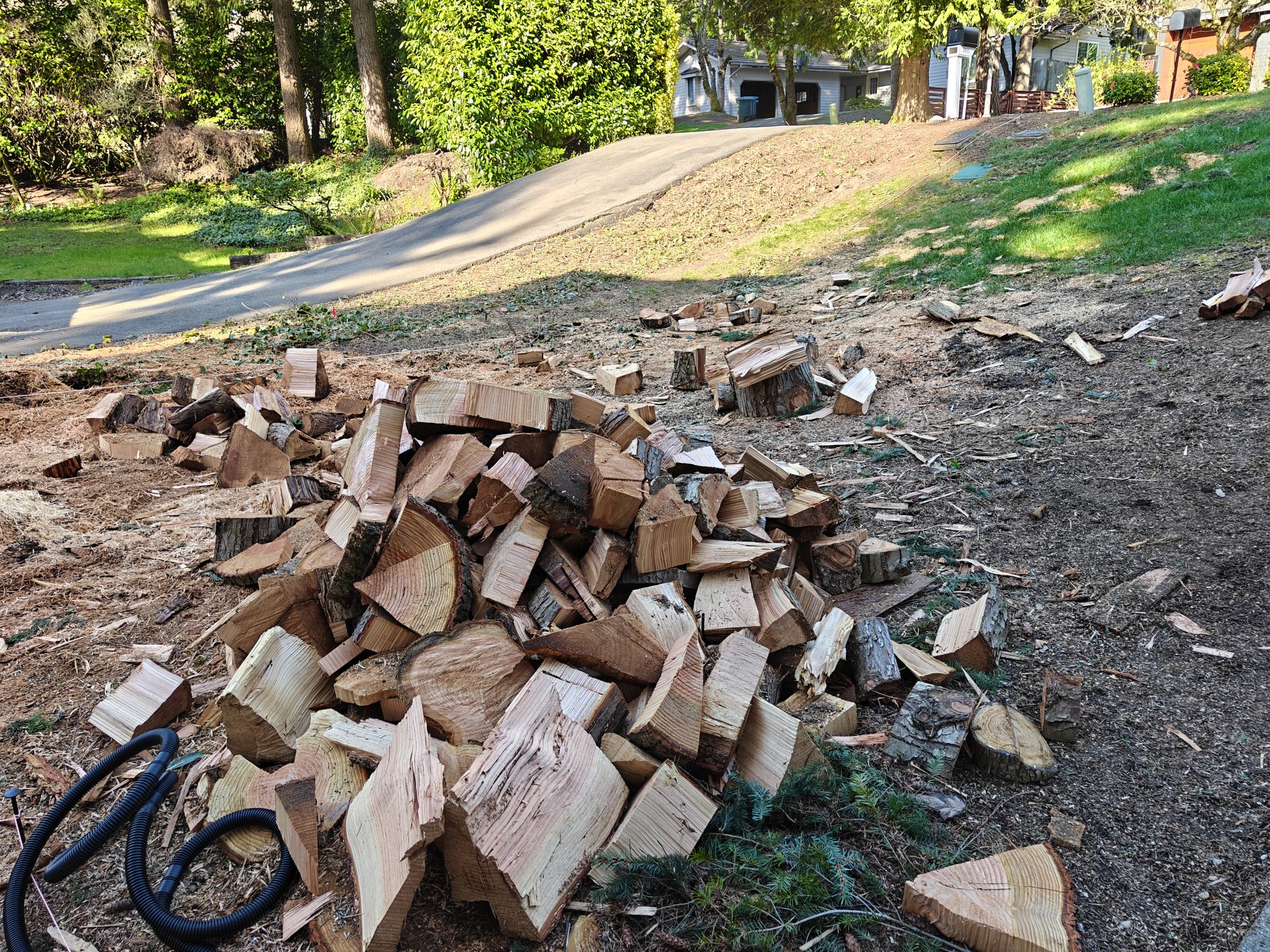 FREE: Premium chopped firewood (First come)