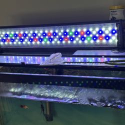 Fish Tank With Stand