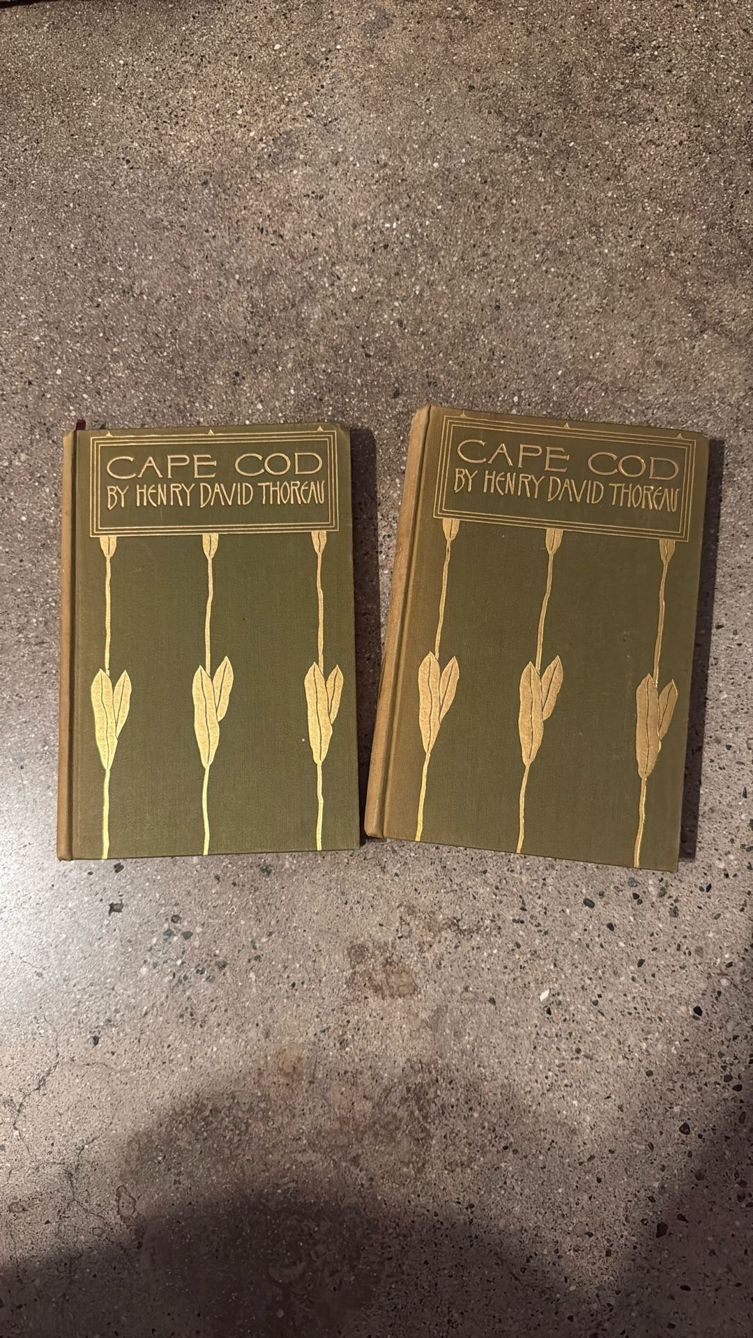 CAPE COD HENRY DAVID THOREAU 1896 HARDCOVER BOOK LITERATURE