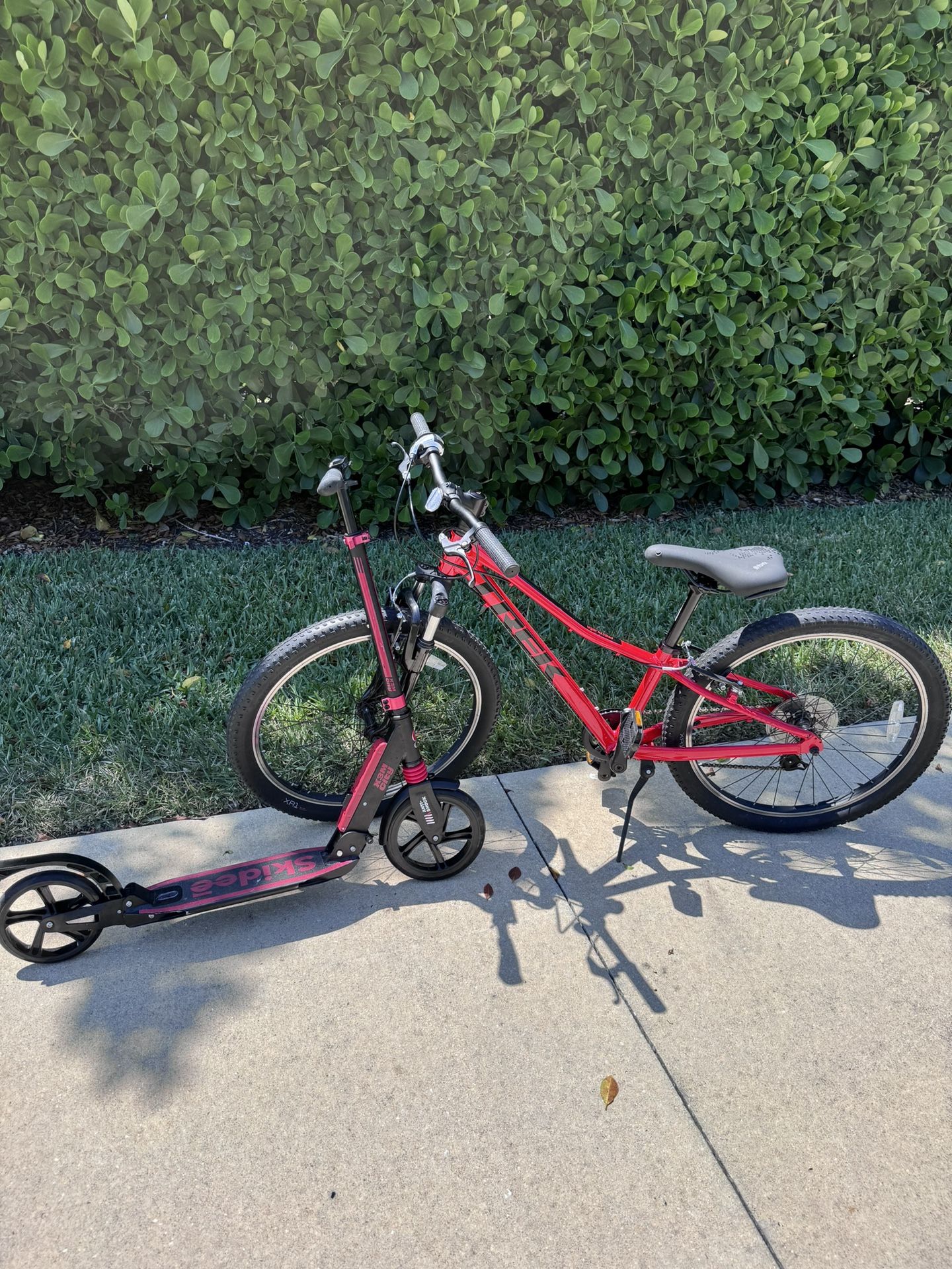 Bike And Scooter