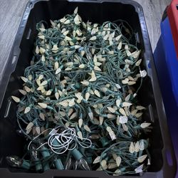 Christmas Lights /Lucez De Navidad  $10/$10/$7  Hablo Espanol 