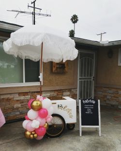Paleta Cart