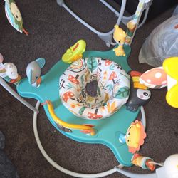 Baby Bouncer & Activity Table