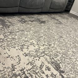 Like New Area Rug 8 By 10 