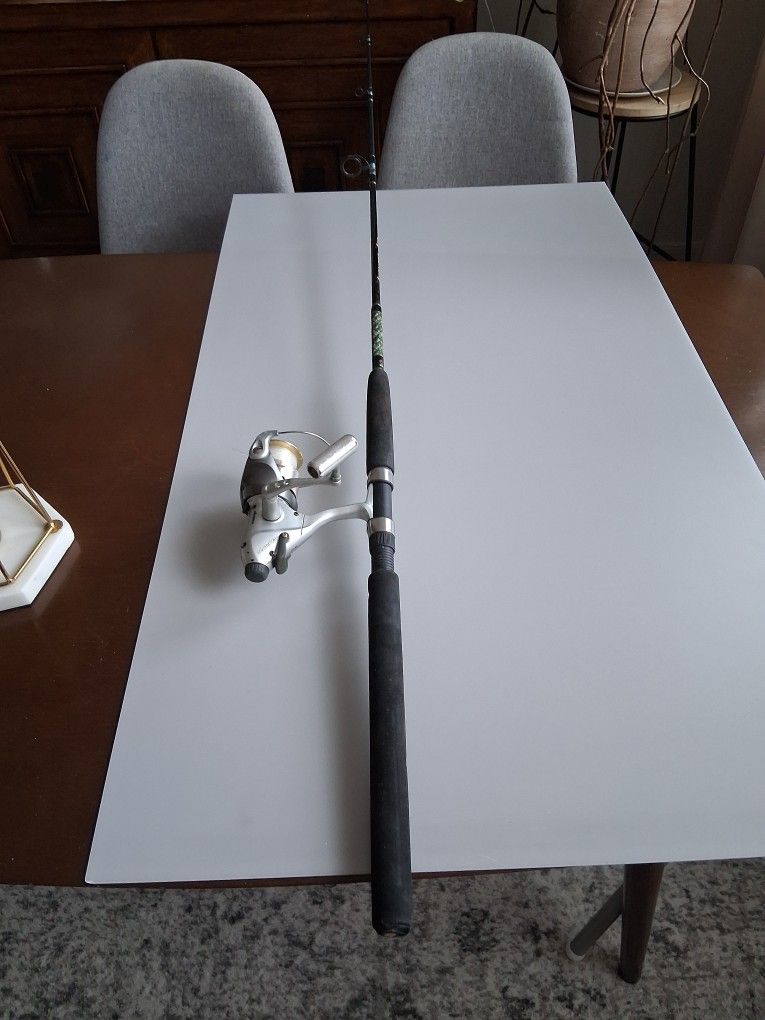 Fishing Rod And Reel