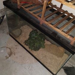 30 Gallon Tank With All Accessories 