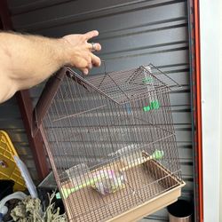 Bird Cage $10