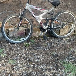Vertical 21 Speed Mountain Bike $65