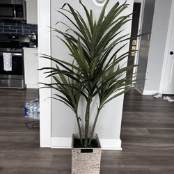 Fake Tall Plant 