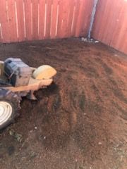 Stump Grinding