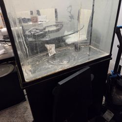 Bowfront Fishtank 36gallon