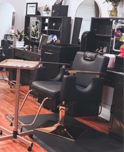 Luxury Salon Chair