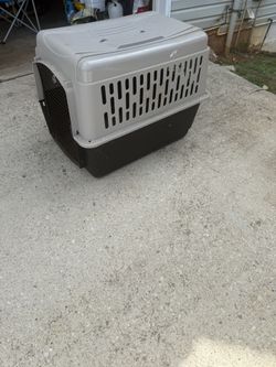 Dog Kennel