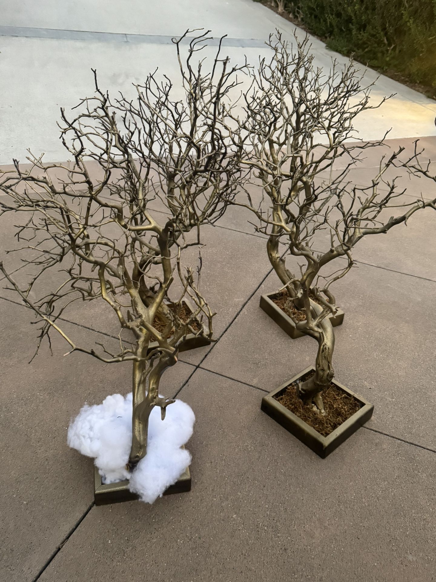 Decorative Tree (birthday/wedding Decor)