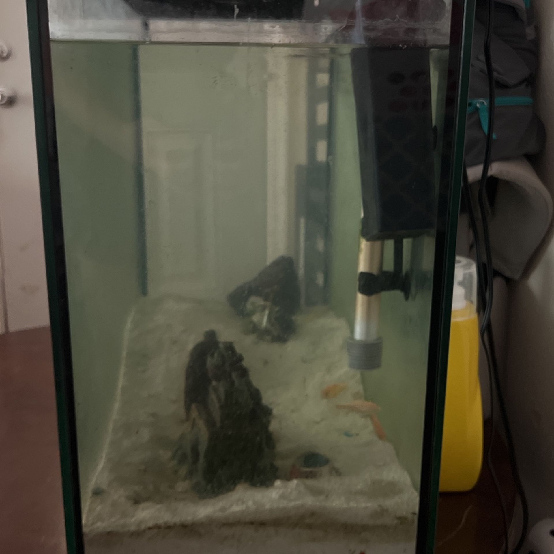 Aquarium