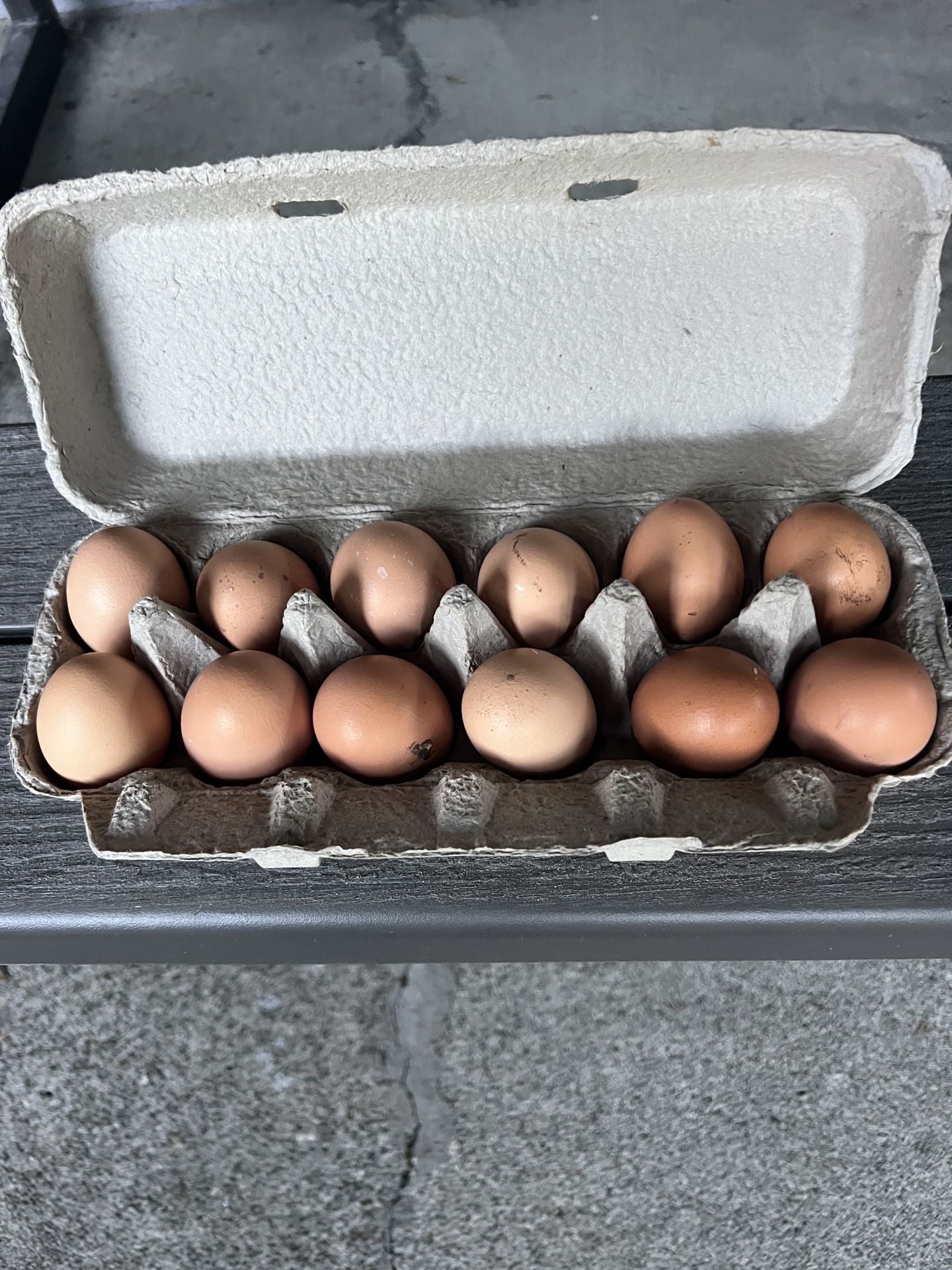 Fresh Eggs