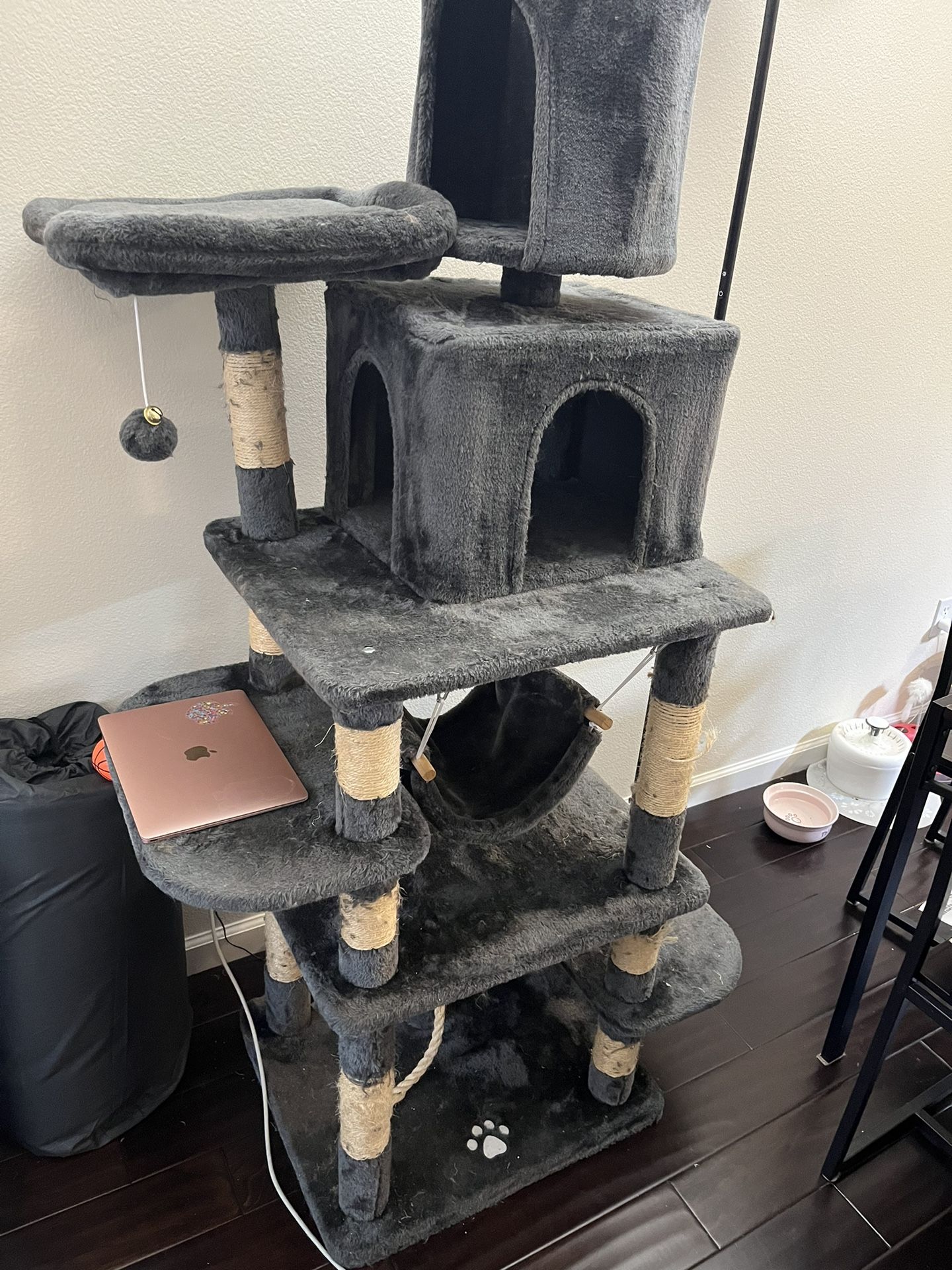 cat tree, good for large or small cat